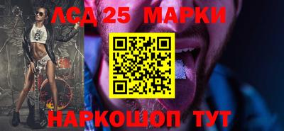 стафф Бердск