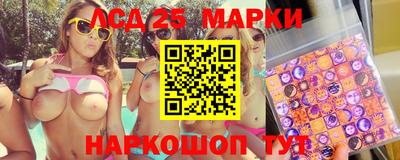 стафф Бердск